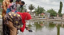 Wali Kota Bandarlampung Eva Dwiana menabur benih ikan di Embung KORPRI Sukarame, Kamis (10/2). Foto: Netizenku.com