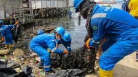 Pertamina bersama Pelindo II Panjang membersihkan limbah mirip oli yang mencemari pesisir Panjang Selatan, Panjang, Kota Bandarlampung, Kamis (10/3). Foto: Netizenku.com