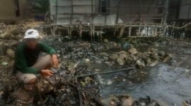 Salah satu warga Kelurahan Panjang Selatan menunjukkan perairan laut Lampung yang tercemar di Kecamatan Panjang, Bandarlampung, Selasa (8/3). Foto: IST