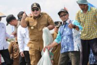 Gubernur Lampung, Arinal Djunaidi, ketika melakukan panen. Foto: Diskominfotik Lampung