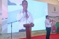 Menteri Pertanian, Amran Sulaiman. Foto: Luki