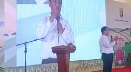 Menteri Pertanian, Amran Sulaiman. Foto: Luki