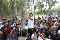 Moeldoko ketika memanen getah karet di Kabupaten Tubaba. Foto: Netizenku.com.