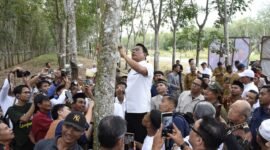 Moeldoko ketika memanen getah karet di Kabupaten Tubaba. Foto: Netizenku.com.