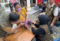 Petugas dari Dinas Pertanian Kota Bandarlampung melakukan vaksinasi rabies pada Senin (20/5). (Foto: Ist)