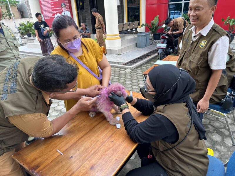 Petugas dari Dinas Pertanian Kota Bandarlampung melakukan vaksinasi rabies pada Senin (20/5). (Foto: Ist)