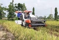 Ilustrasi. Foto: HO. 