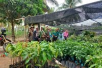 Dishut Lampung monitoring progres penanaman bibit alpukat dan durian. Foto: Dishut Lampung. 