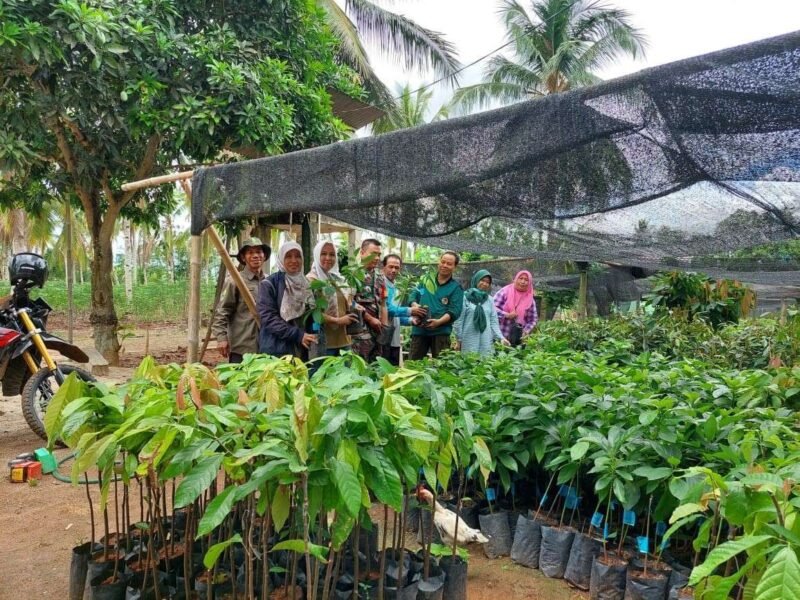 Dishut Lampung monitoring progres penanaman bibit alpukat dan durian. Foto: Dishut Lampung. 