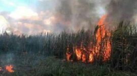 (Foto: Ilustrasi/RMOL) 