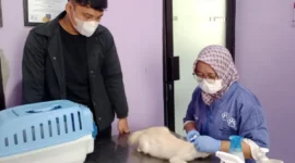 Masyarakat ketika melakukan vaksinasi di UPTD BPK2LP. (Foto: Ist) 