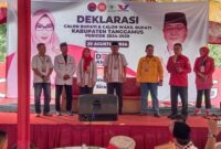 Sebelumnya DAMAR melakukan deklarasi sebagai Calon Bupati (Cabup) dan Calon Wakil Bupati (Cawabup) Kabupaten Tanggamus periode 2025-2030 di Sekretariat DPC PDI-P Tanggamus, Kamis (29/8/2024)