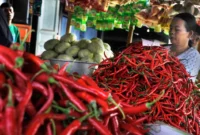 Di Lampung, harga rata-rata eceran cabai merah keriting pada Rabu tercatat Rp27.320/kg. Harga ini jauh di bawah harga rata-rata nasional, namun sedikit lebih baik dibanding harga rata-rata Lampung sehari sebelumnya.

