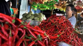 Di Lampung, harga rata-rata eceran cabai merah keriting pada Rabu tercatat Rp27.320/kg. Harga ini jauh di bawah harga rata-rata nasional, namun sedikit lebih baik dibanding harga rata-rata Lampung sehari sebelumnya.

