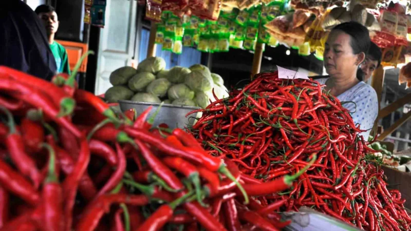 Di Lampung, harga rata-rata eceran cabai merah keriting pada Rabu tercatat Rp27.320/kg. Harga ini jauh di bawah harga rata-rata nasional, namun sedikit lebih baik dibanding harga rata-rata Lampung sehari sebelumnya.

