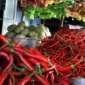 Di Lampung, harga rata-rata eceran cabai merah keriting pada Rabu tercatat Rp27.320/kg. Harga ini jauh di bawah harga rata-rata nasional, namun sedikit lebih baik dibanding harga rata-rata Lampung sehari sebelumnya.

