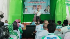 Balon Bupati Tubaba Ir. Novriwan Jaya, SP pasangan dari Balon Wakil Bupati Nadirsyah (NoNa). (Arie/NK)