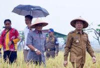 Pj Bupati Pringsewu Marindo Kurniawan saat di lokasi  lahan demonstration plot (Demplot) seluas 5 hektare di persawahan Gapoktan Dadisari, Pekon Wonodadi, Kecamatan Gadingrejo, Kabupaten Pringsewu, Senin (09/09/2024.