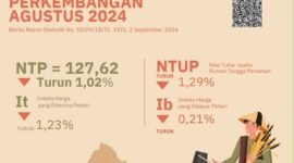 Gejala menurunnya daya beli tersebut ditandai turunnya Indeks Harga yang Diterima Petani (It) sebesar 1,23 persen dan Indeks Harga yang Dibayar Petani (Ib) turun sebesar 0,21 persen. 
