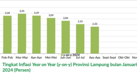 ikutip dari laman Badan Pusat Statistik (BPS) Provinsi Lampung disebutkan bahwa tingkat inflasi di Provinsi Lampung telah mengalami penurunan secara beruntun selama tujuh bulan terakhir.