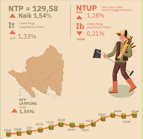 Laporan NTP terbaru ini dirilis oleh Badan Pusat Statistik (BPS) Lampung pada Senin (1/10/2024) sekitar pukul 12.30 WIB, menyusul laporan BPS RI yang terbit lebih awal.