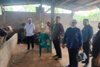 Irham Jafar, Anggota DPR RI Tinjau UPPO di Bandar Agung, Kamis (26/12), Foto: Istimewa.