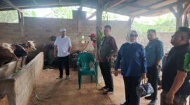 Irham Jafar, Anggota DPR RI Tinjau UPPO di Bandar Agung, Kamis (26/12), Foto: Istimewa.