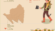 Secara nasional, NTP Lampung masih lebih baik. NTP nasional pada November 2024 tercatat sebesar 121,29 atau naik 0,49 persen dibanding NTP bulan sebelumnya
