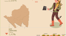 Secara nasional, NTP Lampung masih lebih baik. NTP nasional pada November 2024 tercatat sebesar 121,29 atau naik 0,49 persen dibanding NTP bulan sebelumnya

