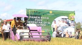 Pemerintah dan Ribuan Petani rayakan keberhasilan panen raya padi serentak di Kelurahan Adipuro, Kecamatan Trimurjo, Senin (7/4/2025), Foto: Diskominfotik Provinsi Lampung.