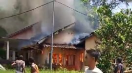 Rumah milik warga dilalap si jago merah di Dusun I, Pekon Karang Brak, Kecamatan Pematangsawa, Kabupaten Tanggamus, Rabu (9/4/2025), Foto: Rapik/NK.