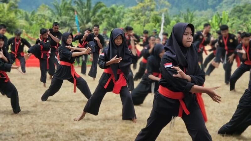 Pagelaran seni bela diri pada pembukaan TNI Manunggal Membangun Desa (TMMD) ke-124 Kodim 0422/Lampung Barat, Foto: Ist.