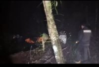 Satgas BPBD Lampung Barat saat mengevakuasi jenazah diduga Pendaki Gunung Pesagi, Kamis (15/5/2025), Foto: Iwan/NK.