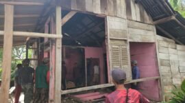 Satgas TMMD ke-124 membedah rumah Sabar di Pesisir Barat, Jumat (23/5/2025), Foto: Ist.