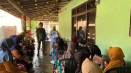 TMMD ke-124 menghadirkan layanan posyandu di Pekon Pemerihan, Kamis (15/5/2025), Foto: Ist.