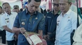 Bupati Pringsewu, Riyanto Pamungkas pada gelaran GPM Bersubsidi di halaman Poskesdes Sidoharjo, Kecamatan Pringsewu, Rabu (4/6/2025), Foto: Reza/NK.