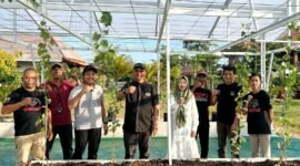 Mukhlis Basri saat melakukan penanaman anggur di Resto Lamban Sabah, Minggu (8/6/2025), Foto: Reza/NK.