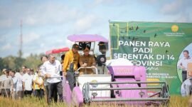 Gubernur Lampung Rahmat Mirzani Djausal dan jajaran Forkopimda mengikuti panen raya padi serentak di 14 Provinsi secara nasional oleh Presiden Prabowo Subianto yang dipusatkan di Majalengka, Jawa Barat, Senin (7/4/2025).

Gubernur Mirza mengikuti acara tersebut secara virtual dengan mendengarkan arahan dan berdialog dengan Presiden Prabowo di Lokasi Panen Raya, Kelurahan Adipuro, Kecamatan Trimurjo, Lampung Tengah.