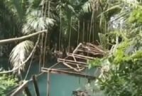 
Jembatan rapuh Tampang Muda akhirnya mendapat perhatian. Pemprov & Pemkab Lampung bergerak cepat cari solusi. Harapannya, anak-anak bisa bersekolah dengan aman tanpa rasa takut.
