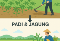 Alih Tanam Singkong ke Padi dan Jagung Bisa Dongkrak Ekonomi Lampung 2%