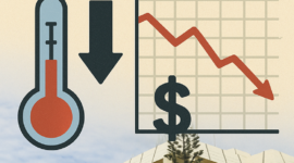 Harga Stabil, Ekonomi Mandek: Lampung Hadapi Jebakan Low Growth