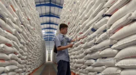 Pekerja memeriksa stok beras Bulog di Gudang Perum Bulog Campang Raya, Bandar Lampung, Lampung, Rabu (15/1/2025). Perum Bulog Kantor Wilayah (Kanwil) Lampung mendapatkan target pengadaan sebanyak 100 ribu ton setara beras pada tahun 2025. ANTARA FOTO/Ardiansyah/foc.
