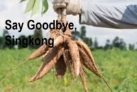 Say Goodbye, Singkong