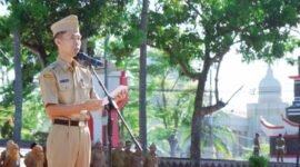 CREATOR: gd-jpeg v1.0 (using IJG JPEG v80), quality = 90?