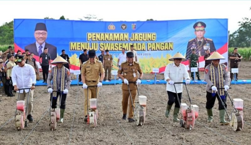 CREATOR: gd-jpeg v1.0 (using IJG JPEG v80), quality = 90?