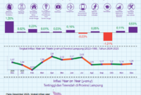 Desember 2025 inflasi Year on Year (y-on-y) Provinsi Lampung mengalami inflasi sebesar 1,25 persen.