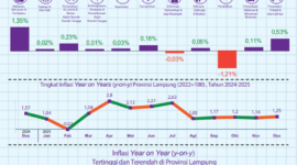 Desember 2025 inflasi Year on Year (y-on-y) Provinsi Lampung mengalami inflasi sebesar 1,25 persen.