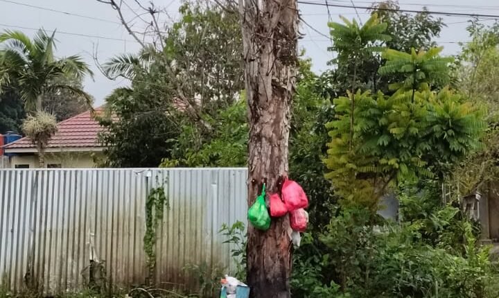 foto slider headline