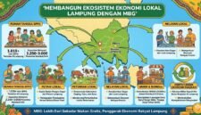 Harapan terhadap Pemprov Lampung dalam menyikapi keberadaan MBG.